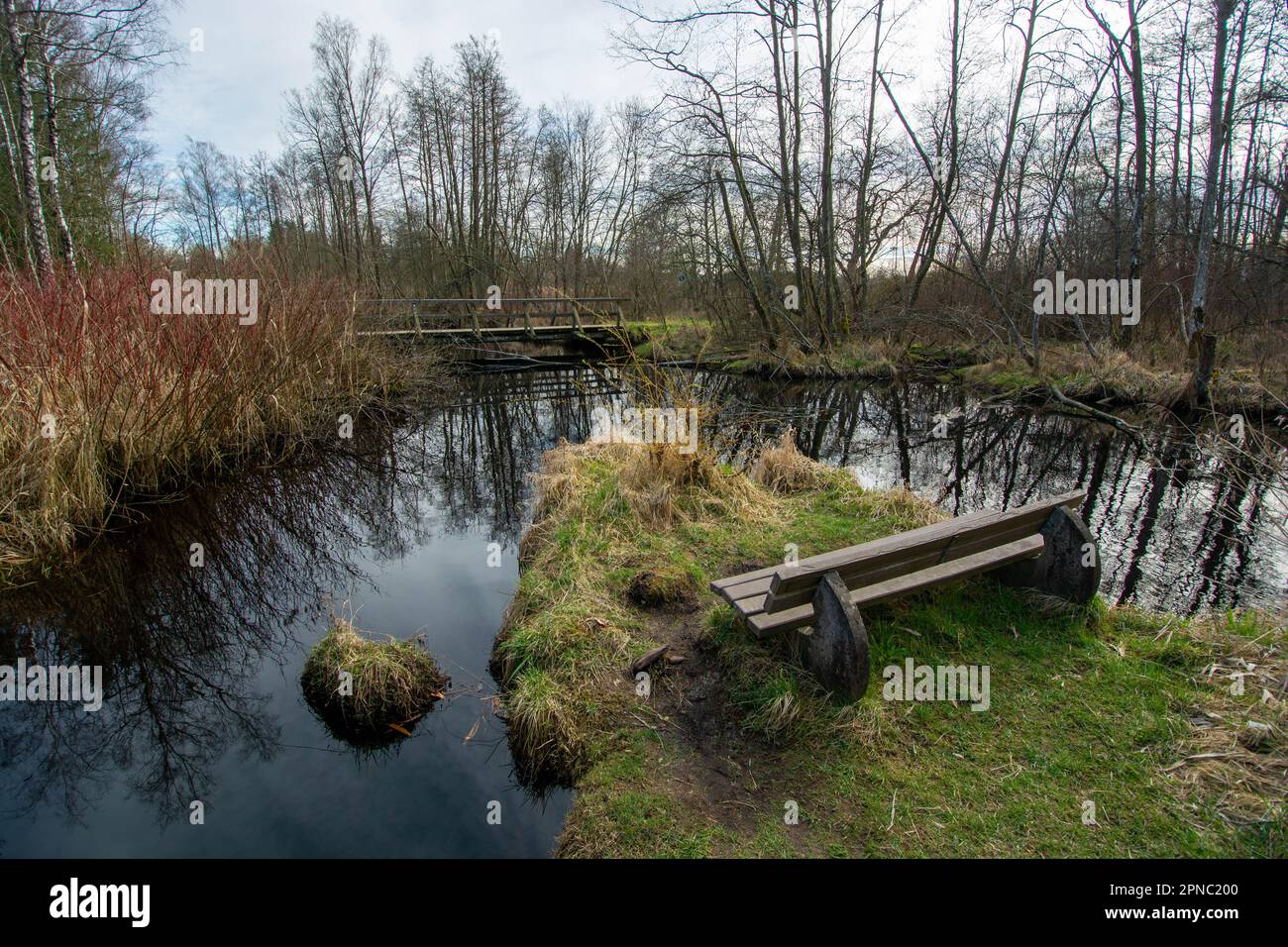 Im Frühling im Bad Würzacher Ried, einem schwäbischen Naturschutzgebiet Stockfoto