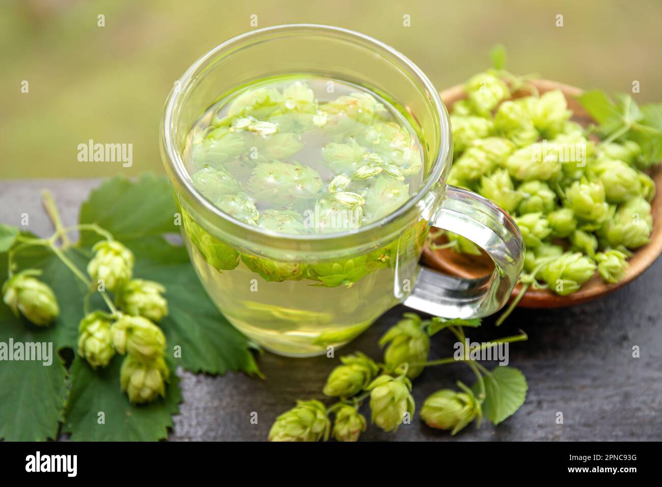 Kräutertee-Getränk aus Humulus lupulus, dem Hopfen oder Hopfen. Hopfenblumen mit Teetasse auf weißem Holz Hintergrund, innen zu Hause. Stockfoto