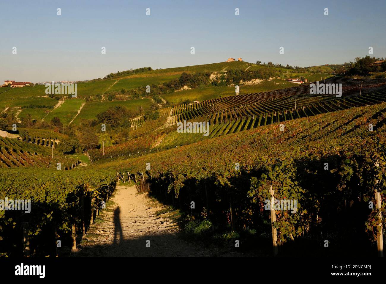 Die Langa ist ein wunderschönes Land, das von kostbaren Weinbergen