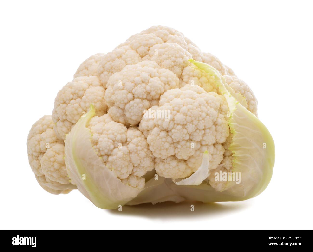 Frischer Blumenkohl, isoliert auf weißem Hintergrund Stockfoto