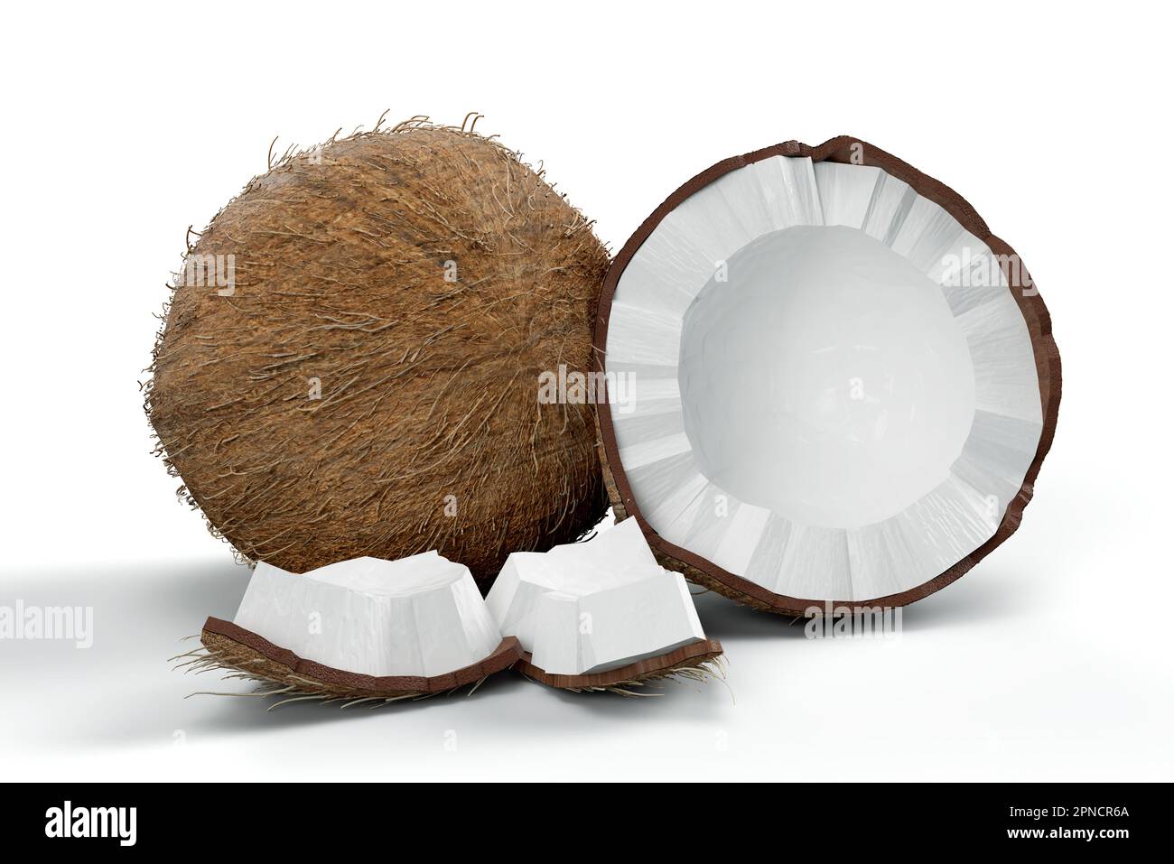 3D-Rendering - Kokosnuss isoliert auf weißem Hintergrund, hochauflösendes Bild Stockfoto