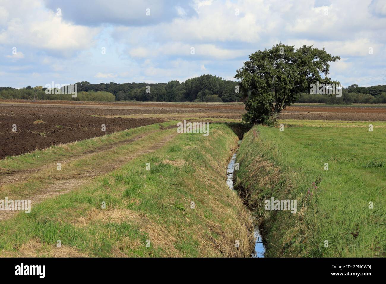 Von den Ufern des Flusses Douglas in Rufford Lancashire England aus können Sie sich die Dränengräben und Felder ansehen Stockfoto