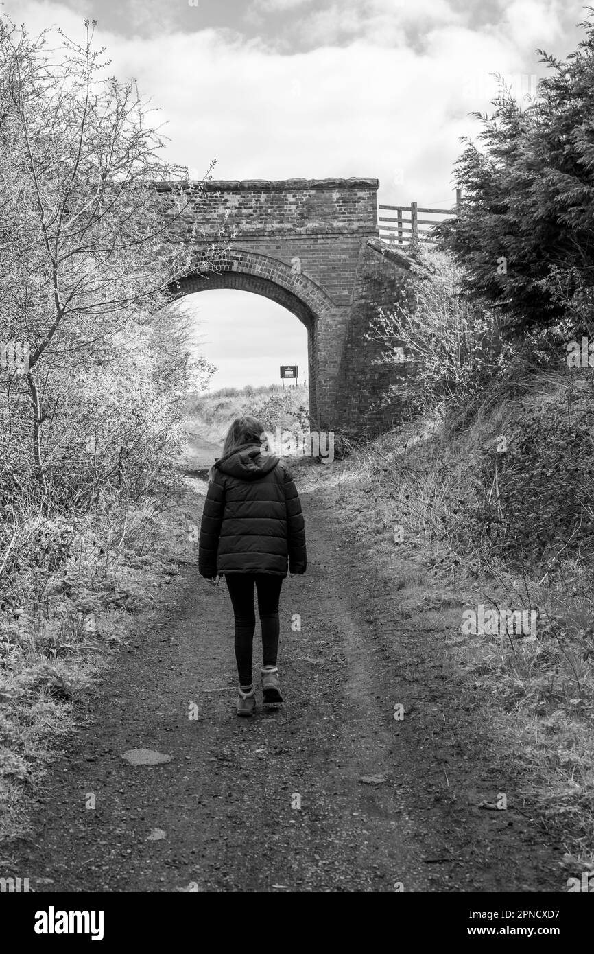 The Cinder Track - Scarborough nach Whitby (21 km) Stockfoto