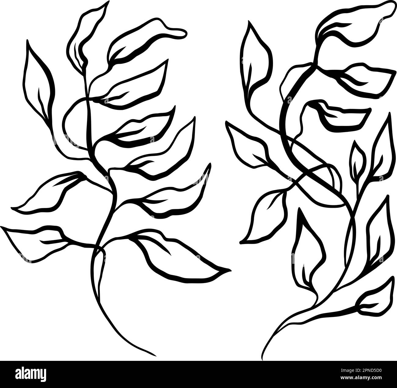 Set zeitgenössischer Blätter Brunch Vektormuster Stock Vektor