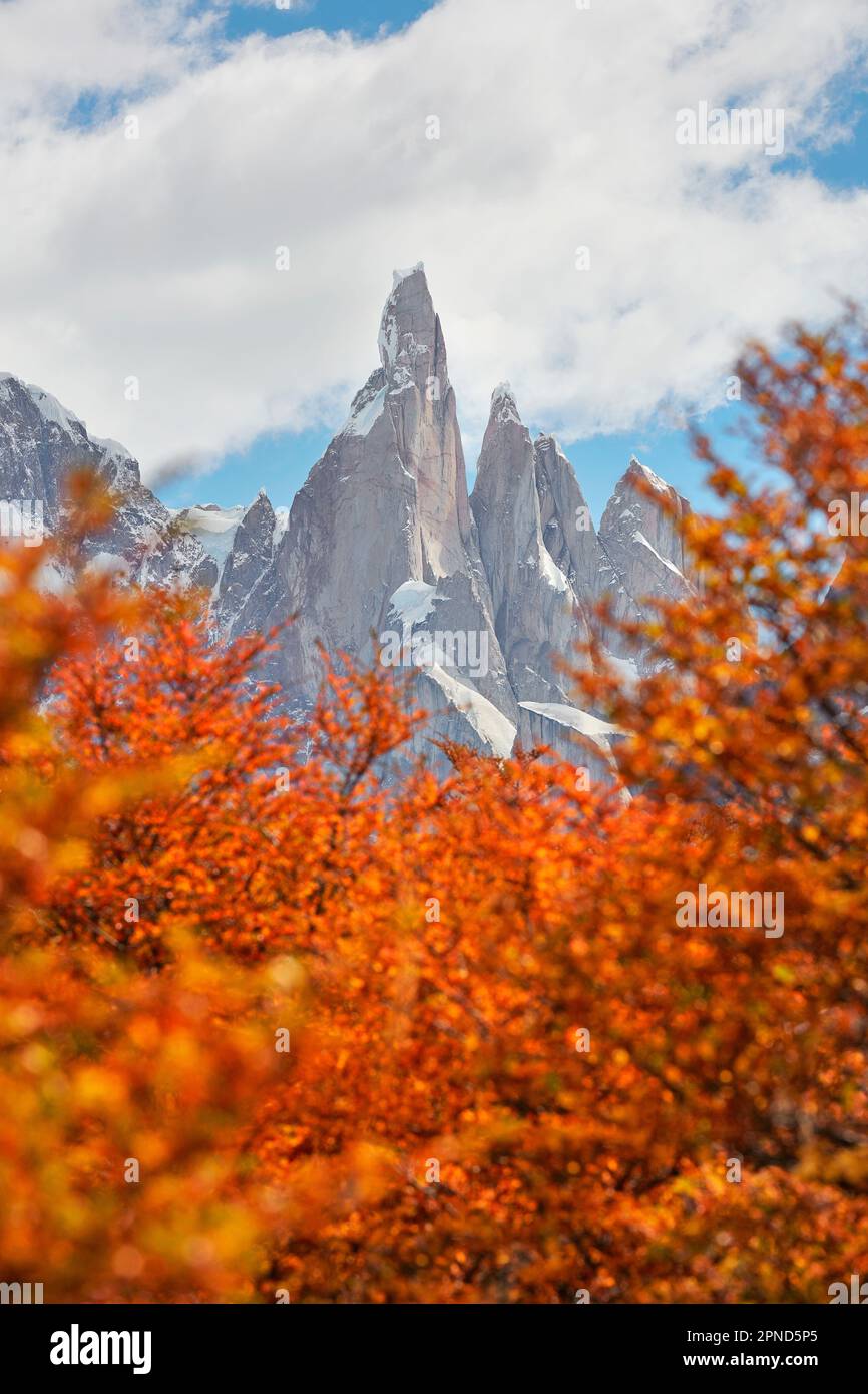 Der Gipfel des Cerro Torre ist von der lebhaften Farbe der Lengas-Bäume im Herbst umgeben, El Chalten, Santa Cruz, Patagonien Argentinien. Stockfoto