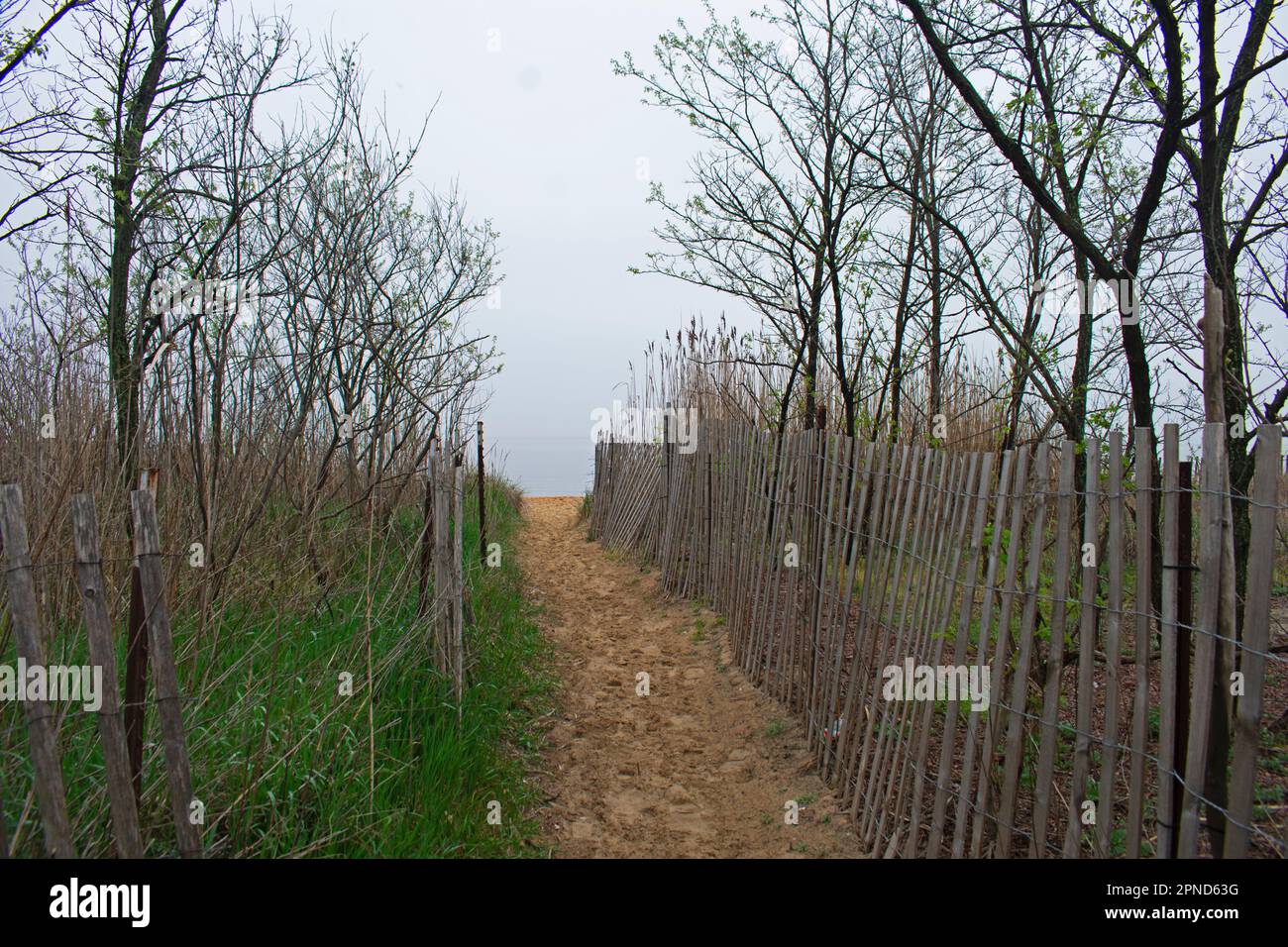 Sandweg zum Cliffwood Beach, flankiert von einem Holzzaun an einem nebeligen Frühlingsmorgen -01 Stockfoto