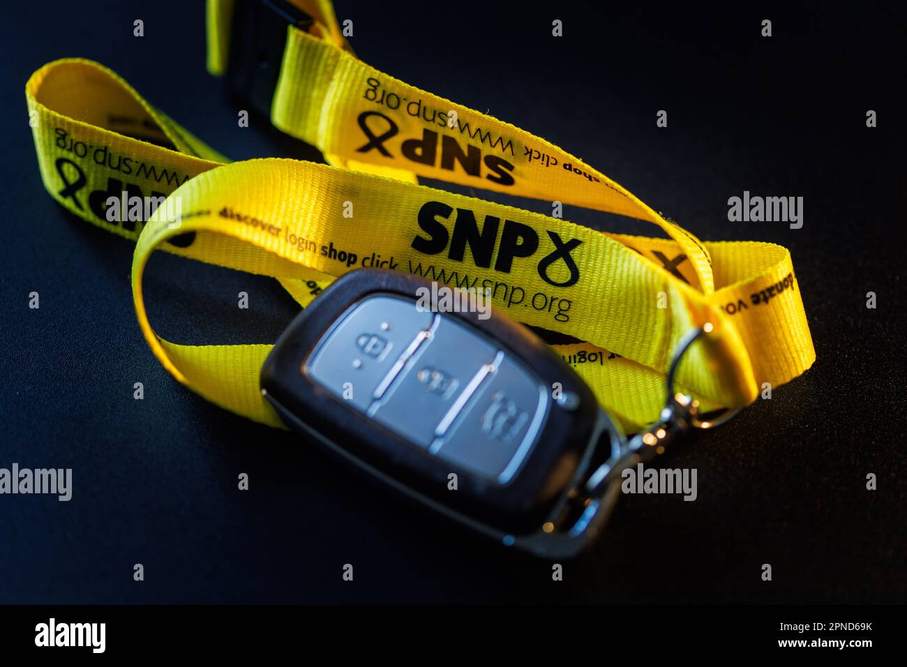 Schlüssel für Auto, Wohnmobil oder Wohnmobil mit befestigtem Scottish National Party SNP-Trageband. Stockfoto