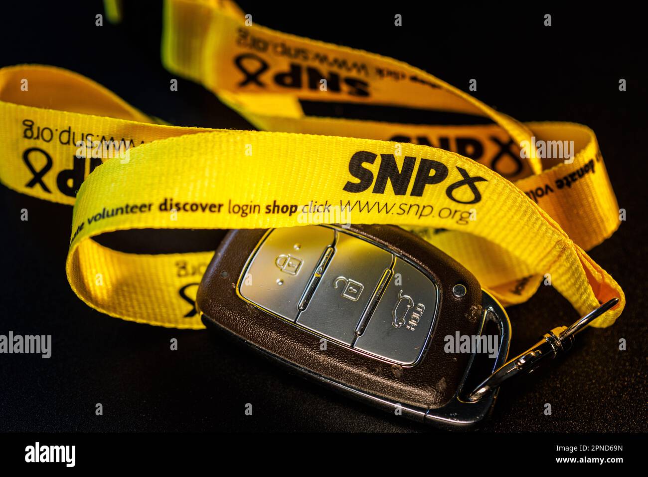 Schlüssel für Auto, Wohnmobil oder Wohnmobil mit befestigtem Scottish National Party SNP-Trageband. Stockfoto