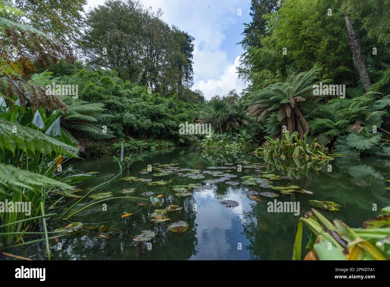 The Lost Gardens of Helligan am 30. Oktober 2022 in Pentewan, Cornwall, England. Kredit: SMP News Stockfoto