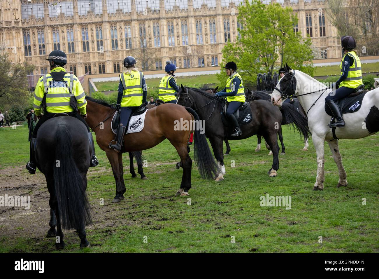 London, Großbritannien. 18. April 2023. Zehn Pferde, mit einer Eskorte von der polizeilich montierten Einheit der Metropole, wurden von vertrauten Gesichtern aus der Welt der Pferde und Unterhaltung durch das Herz der Stadt zum Parlament geritten, um auf die Verabschiedung des Tieres Bill zu drängen. Die von der Wohltätigkeitsorganisation World Horse Welfare organisierte Ride führte die Pferde und ihre Reiter – darunter der beliebte Reiteinflussnehmer This Esme und die Reitlegende Jane Holderness-Roddam – in einer Prozession durch das Zentrum von London, flankiert von der berittenen Polizei. Kredit: Ian Davidson/Alamy Live News Stockfoto