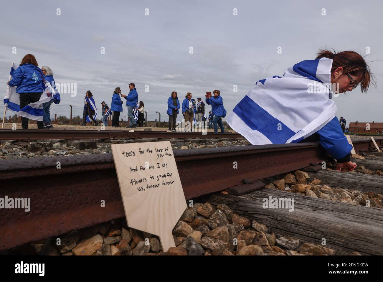 auschwitz birkenau ofiar faszyzmu brzezinka polen