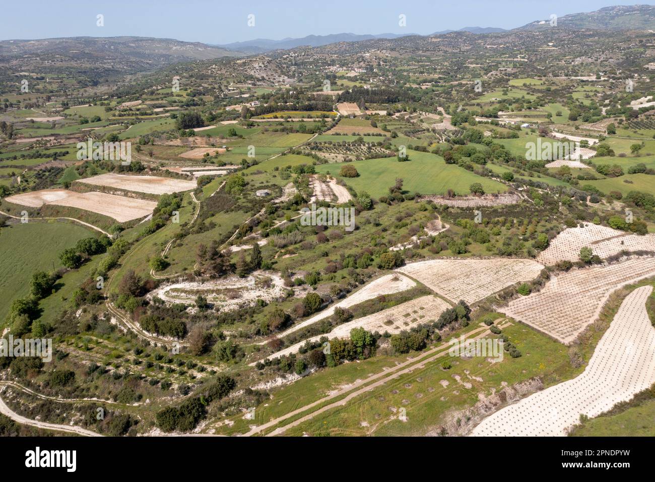 Terrassenförmig angelegte Weinfelder im Ezousa-Tal, in der Region Paphos, Zypern Stockfoto