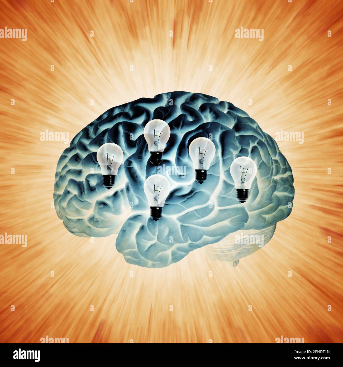 Gehirn und Glühbirnen, Illustration eines IDEENKONZEPTS Stockfoto