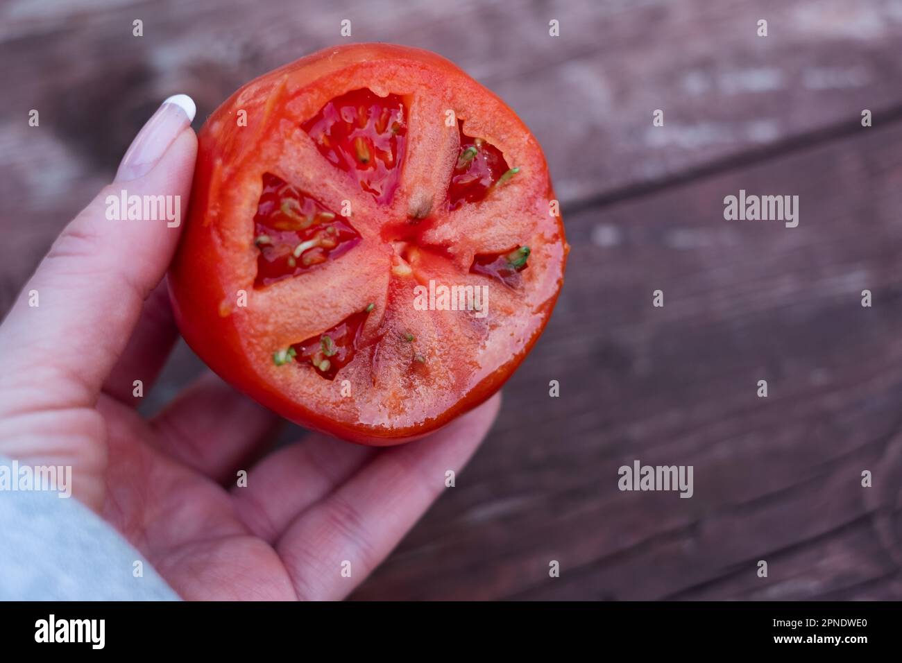 Tomatensamen, die in einer reifen Tomate wachsen. Stockfoto