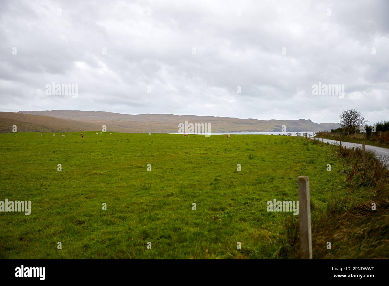 Entlang der Straße auf der isle of skye Stockfoto