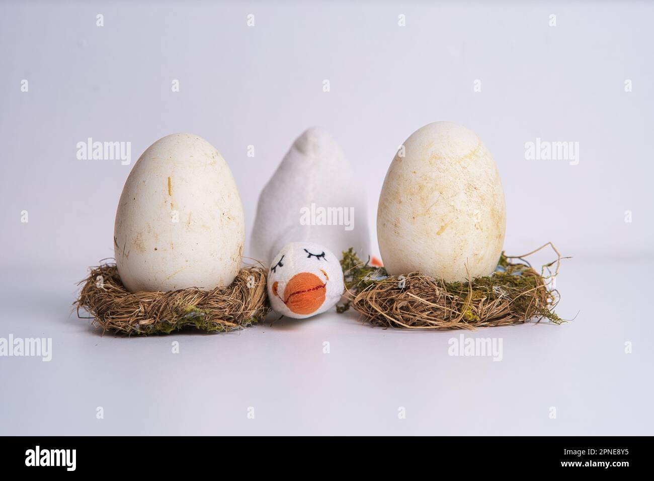 Gänseeier auf einem Nest mit einer ausgestopften Gans Stockfoto