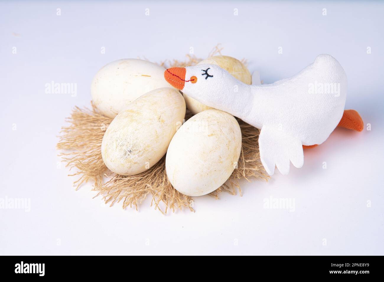 Gänseeier auf einem Nest mit einer ausgestopften Gans Stockfoto