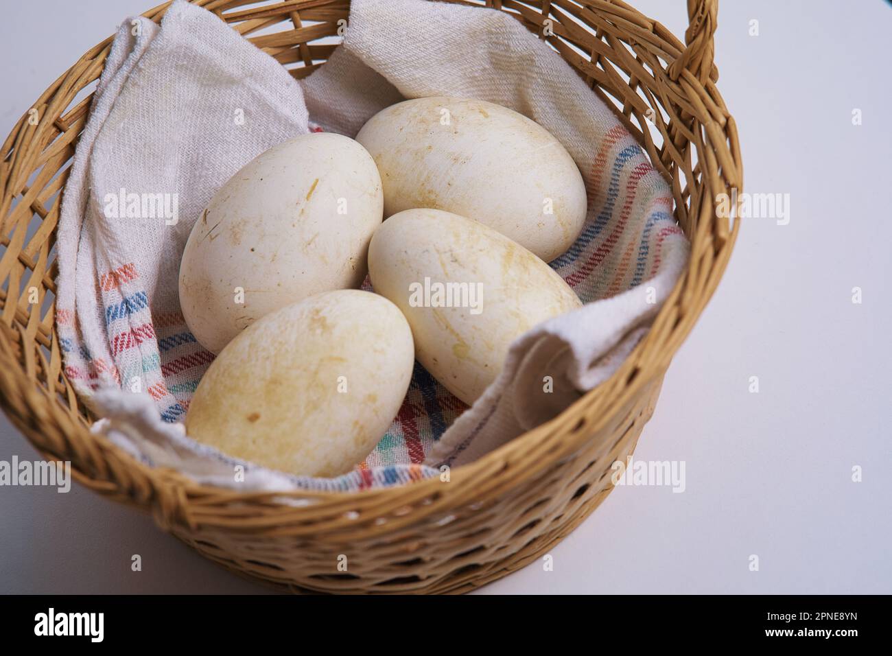 Gänseeier in einem Korb Stockfoto