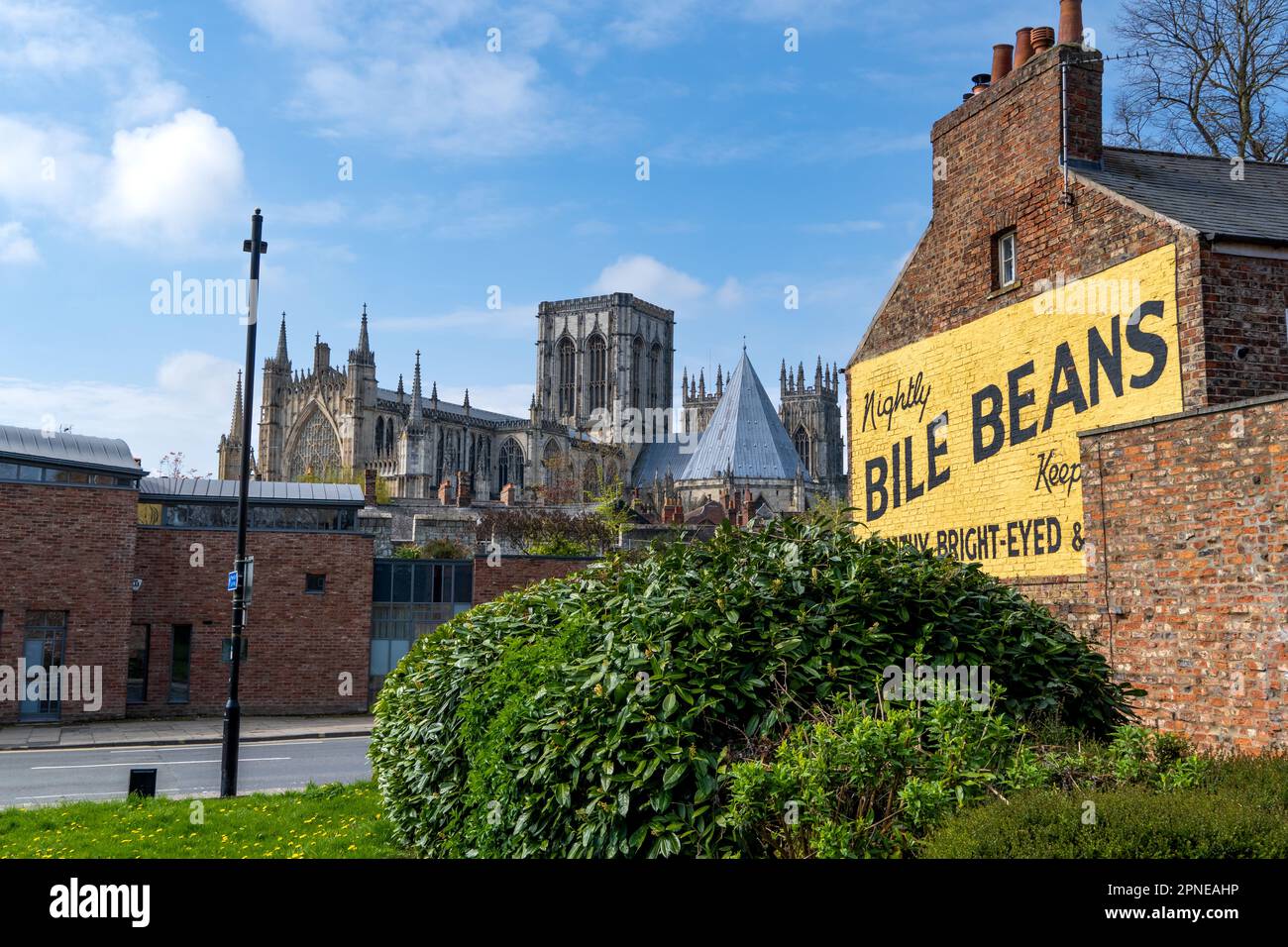 YORK, GROSSBRITANNIEN - 17. APRIL 2023. Das berühmte Werbeschild mit dem York Minster im Hintergrund für Gallenbohnen im Vintage-Stil Stockfoto