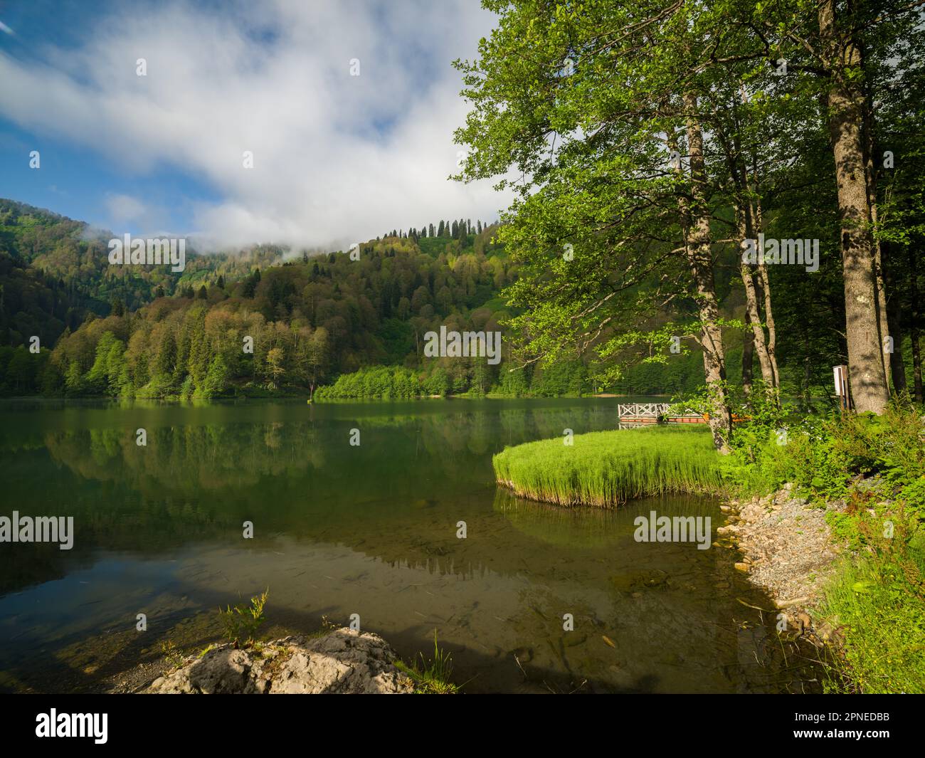 Wunderschöner Waldsee am Morgen. Naturpark Borcka Karagol. Frühlingssaison. Artvins beliebtestes Reiseziel. Die Natur des Schwarzen Meeres Stockfoto