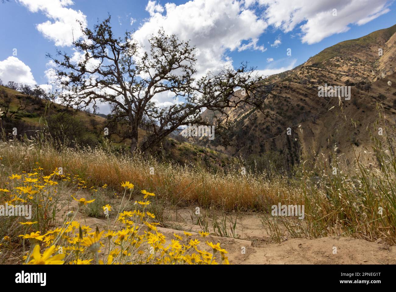 Capay valley -Fotos und -Bildmaterial in hoher Auflösung – Alamy