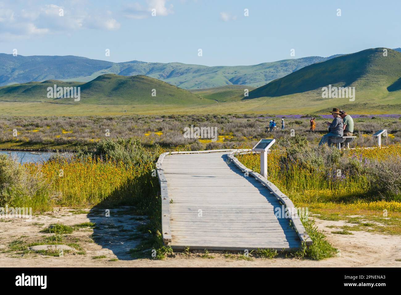 Soda Lake, Kalifornien, USA 10. April 2023. Ein Holzsteg durch die