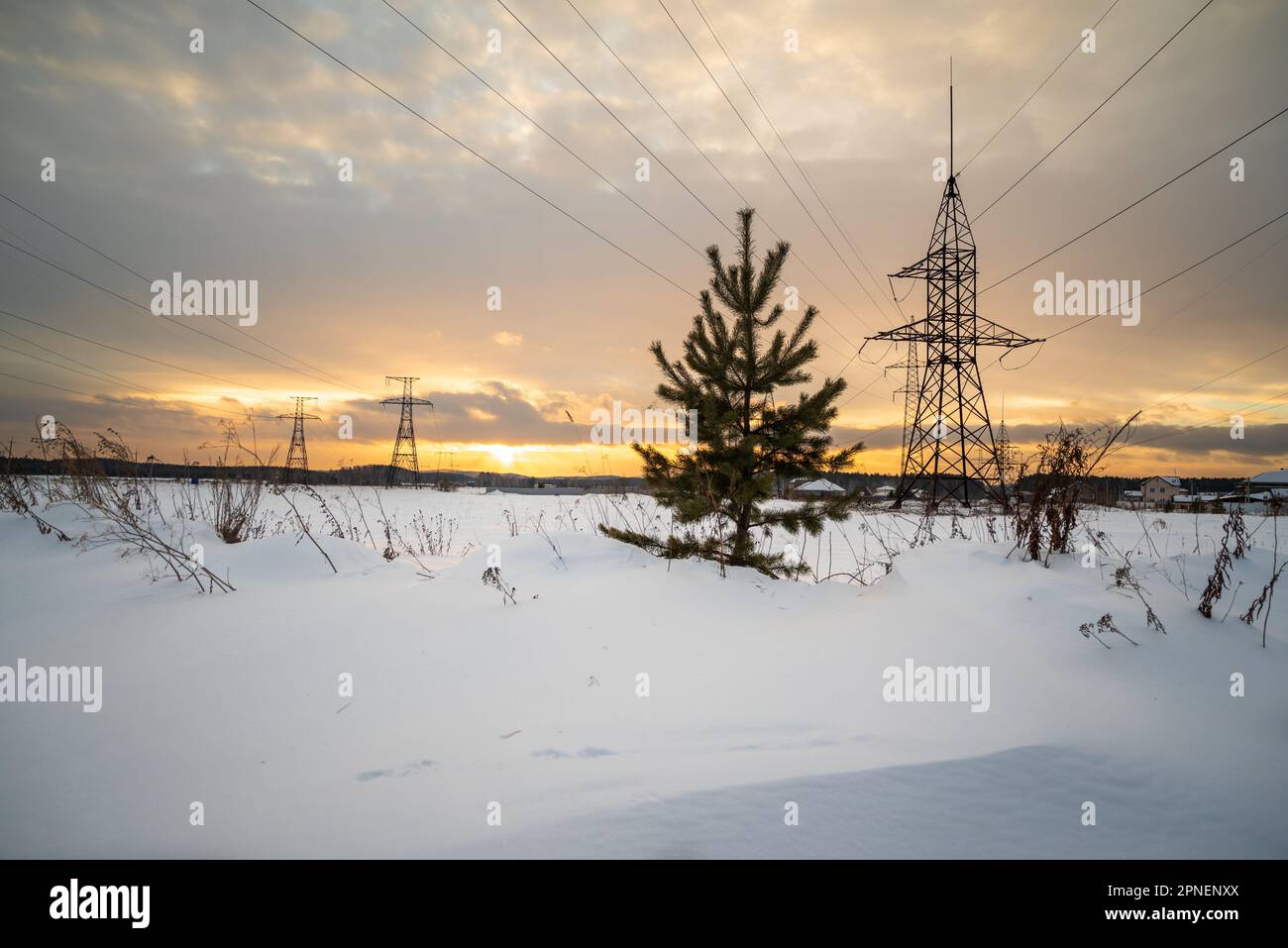 Eine verschneite Landschaft mit Stromleitungen und einem Baum im Vordergrund. Stockfoto