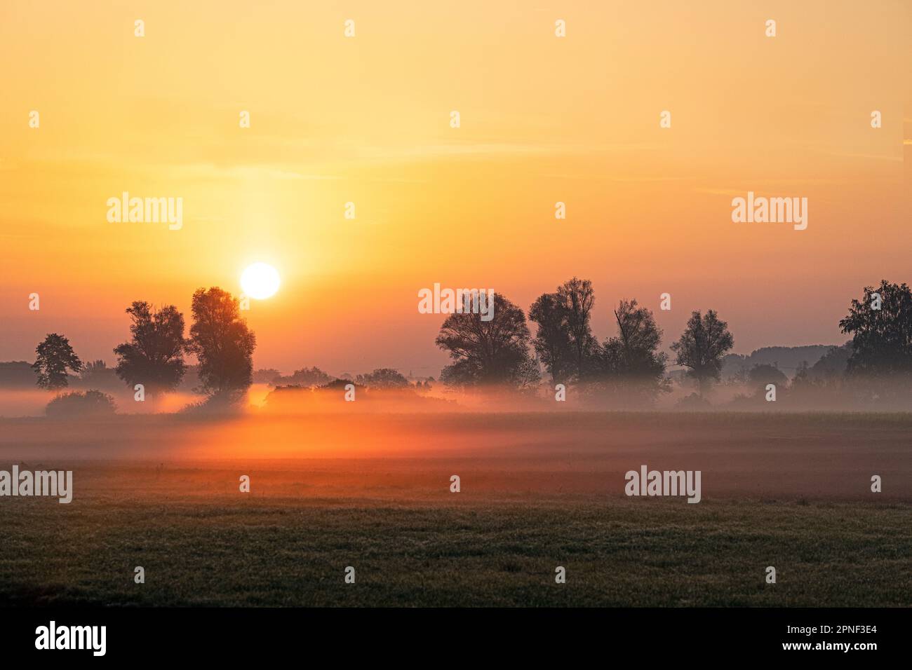 Bodennebel bei Sonnenaufgang im Moor, Deutschland, Bayern, Erdinger Moos Stockfoto