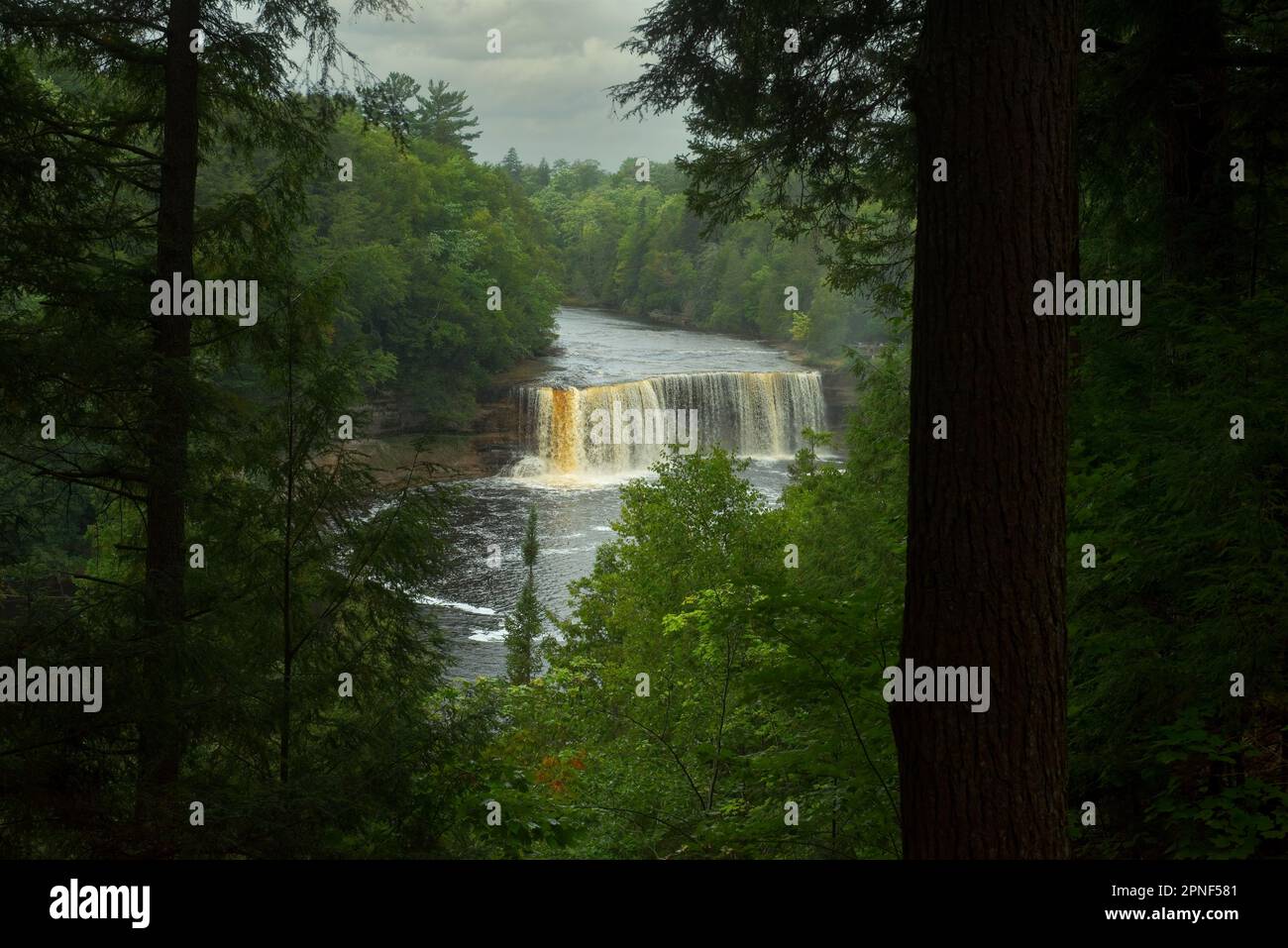 Die oberen Wasserfälle im Tahquamenon Falls State Park auf der Oberen Halbinsel Michigans, die an einem feuchten, stimmungsvollen Tag durch Bäume zu sehen sind Stockfoto