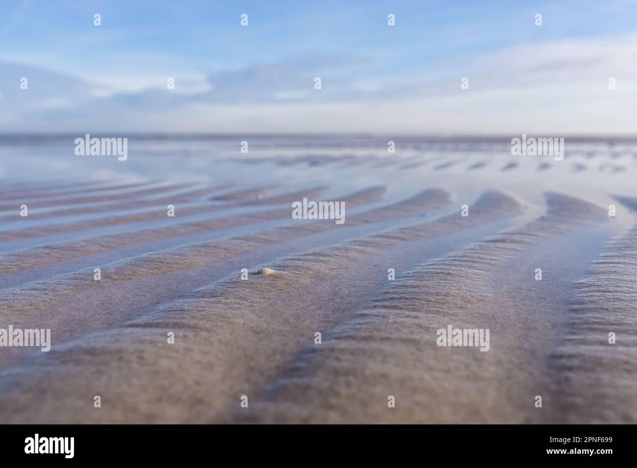 Ostsee, Flachwasser, Wellenmuster, blauer Himmel, Naturphänomen, Küste, Küste, Strand, Wasser, Wellen, Himmel, Blau, Natur, Landschaft, Schönheit, Verk Stockfoto