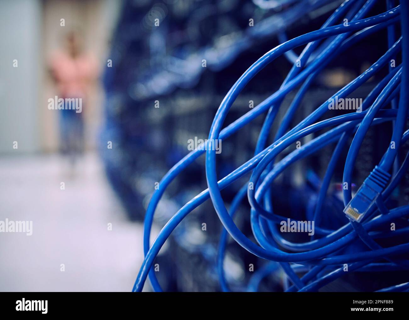 Nahaufnahme der Computerkabel im Serverraum Stockfoto