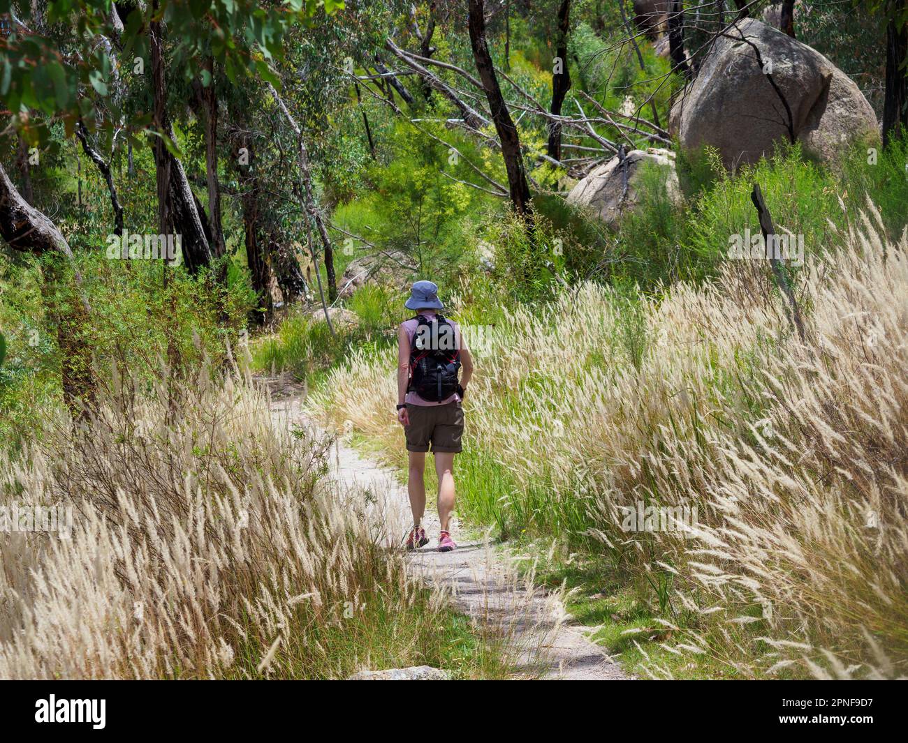 Australien, Queensland, Girraween-Nationalpark, Rückansicht einer Frau, die in der Wildnis wandert Stockfoto