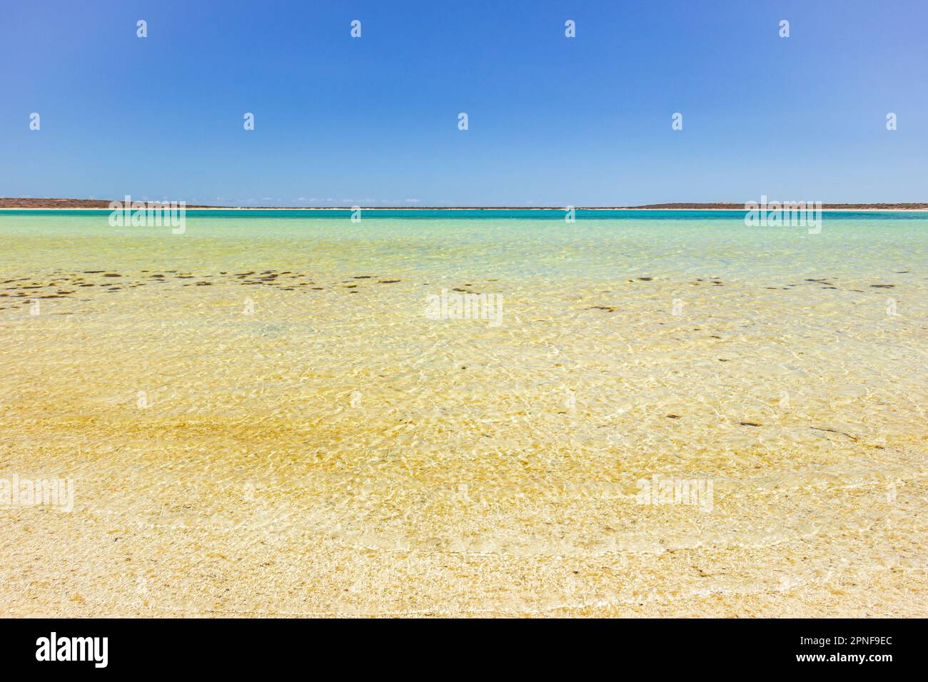 Ruhiges, flaches Wasser der kleinen Lagune in der Nähe von Denham, Westaustralien, Australien. Stockfoto