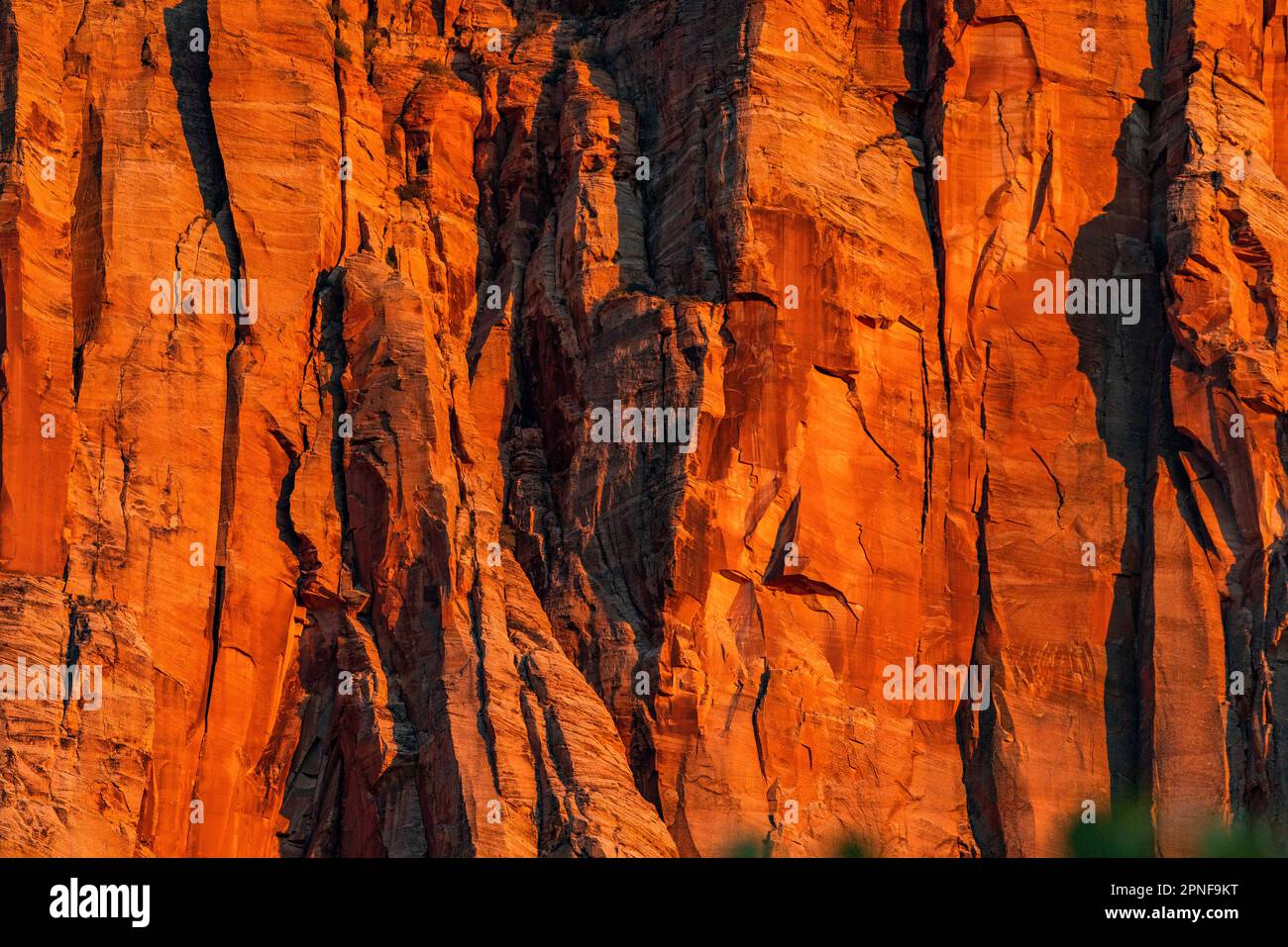 USA, Utah, Zion-Nationalpark, Sonnenuntergang auf roten Klippen Stockfoto