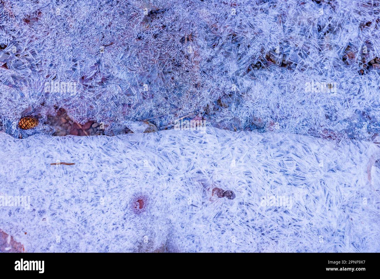 Gefrorener Bach im Winter im Zion-Nationalpark Stockfoto