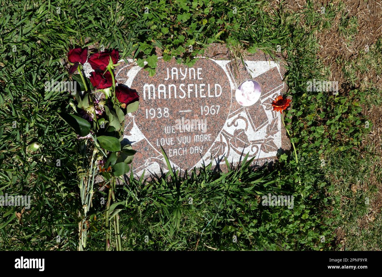 Los Angeles, Kalifornien, USA 16. April 2023 Schauspielerin Jayne Mansfield Cenotaph in Garden of Legends auf dem Hollywood Forever Cemetery am 16. April 2023 in Los Angeles, Kalifornien, USA. Foto: Barry King/Alamy Stock Photo Stockfoto