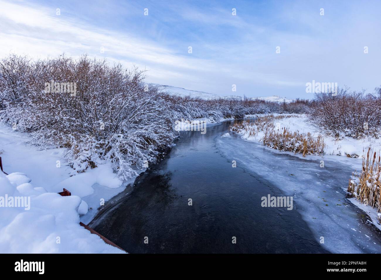 USA, Idaho, Bellevue, Icy Spring Creek im Winter Stockfoto