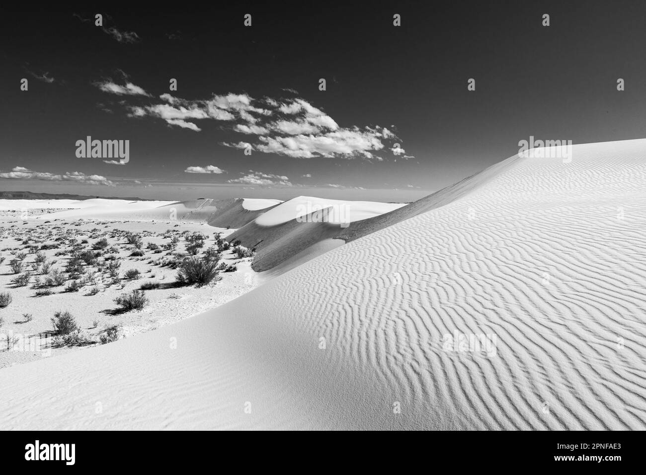 USA, New Mexico, White Sands National Park, Sanddünen Stockfoto