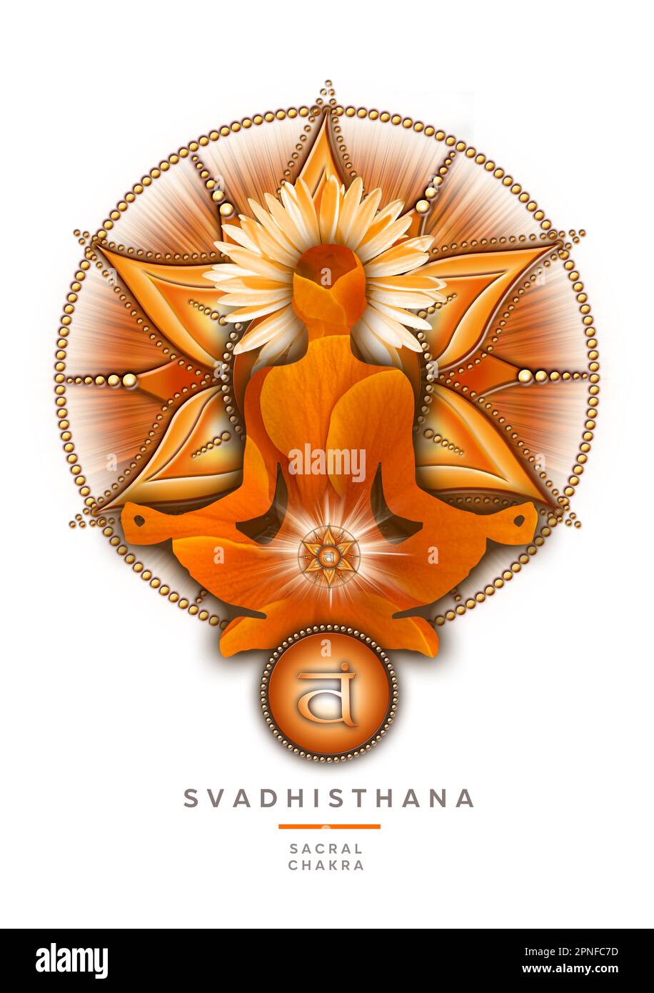 Sakrale Chakra-Meditation in Yoga-Lotus-Pose, vor dem Svadhisthana-Chakra-Symbol. Stockfoto