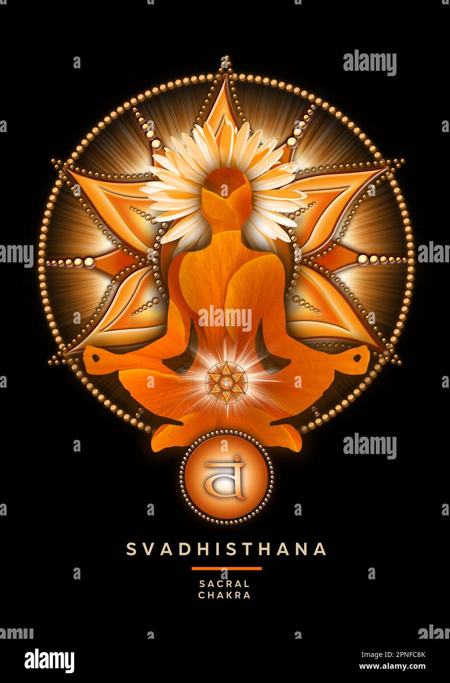 Sakrale Chakra-Meditation in Yoga-Lotus-Pose, vor dem Svadhisthana-Chakra-Symbol. Stockfoto
