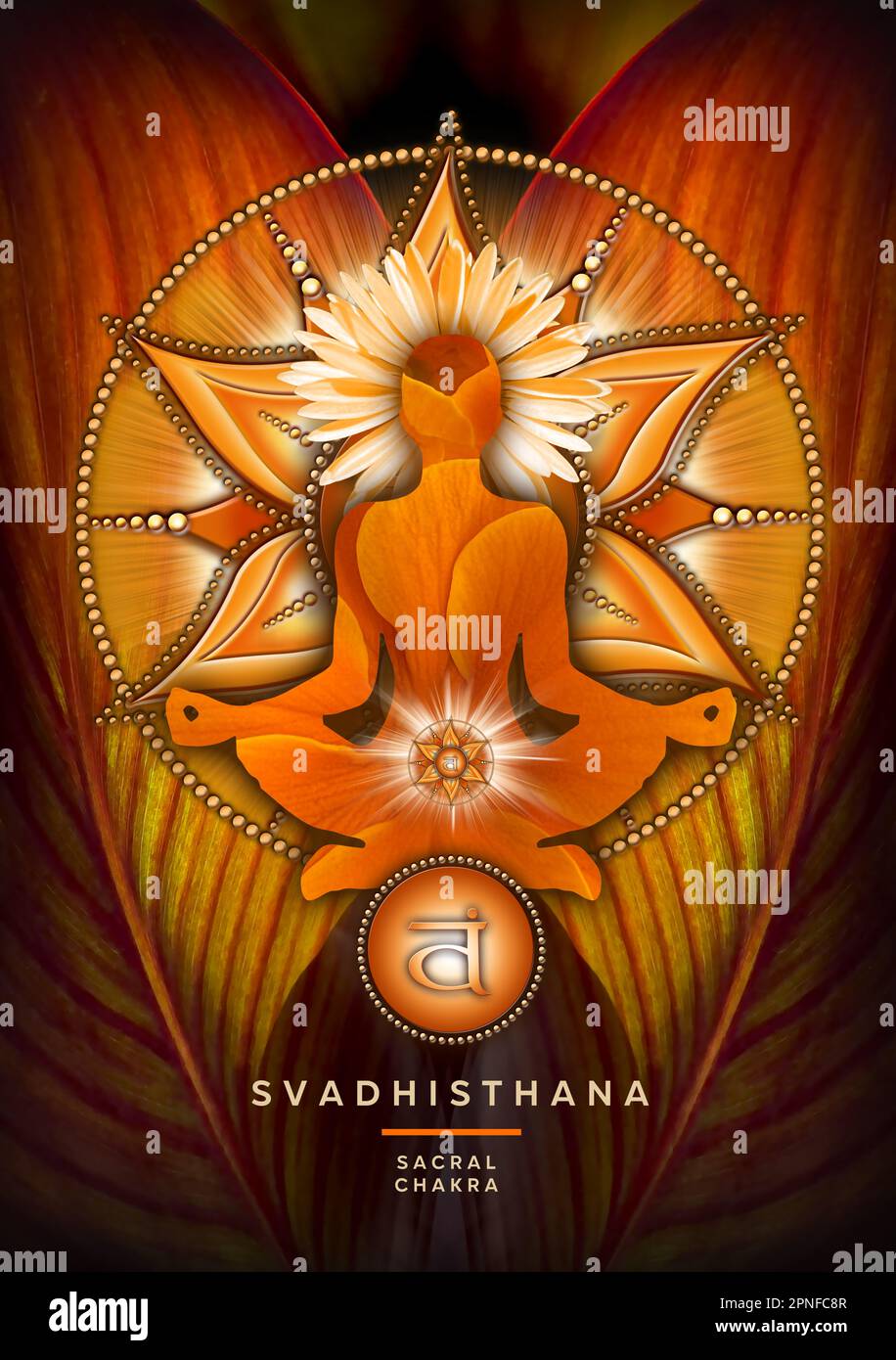 Sakrale Chakra-Meditation in Yoga-Lotus-Pose, vor Svadhisthana-Chakra-Symbol und Canna-Blatt. Stockfoto