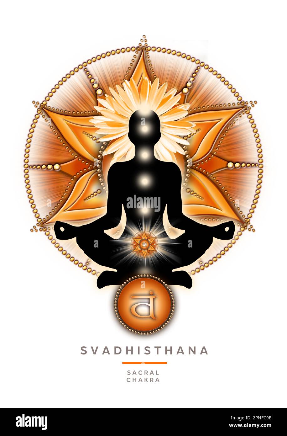 Sakrale Chakra-Meditation in Yoga-Lotus-Pose, vor dem Svadhisthana-Chakra-Symbol. Stockfoto