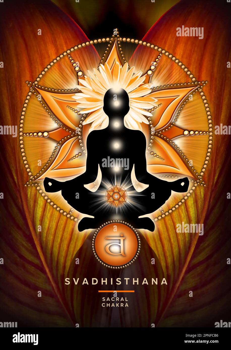 Sakrale Chakra-Meditation in Yoga-Lotus-Pose, vor Svadhisthana-Chakra-Symbol und Canna-Blatt. Stockfoto