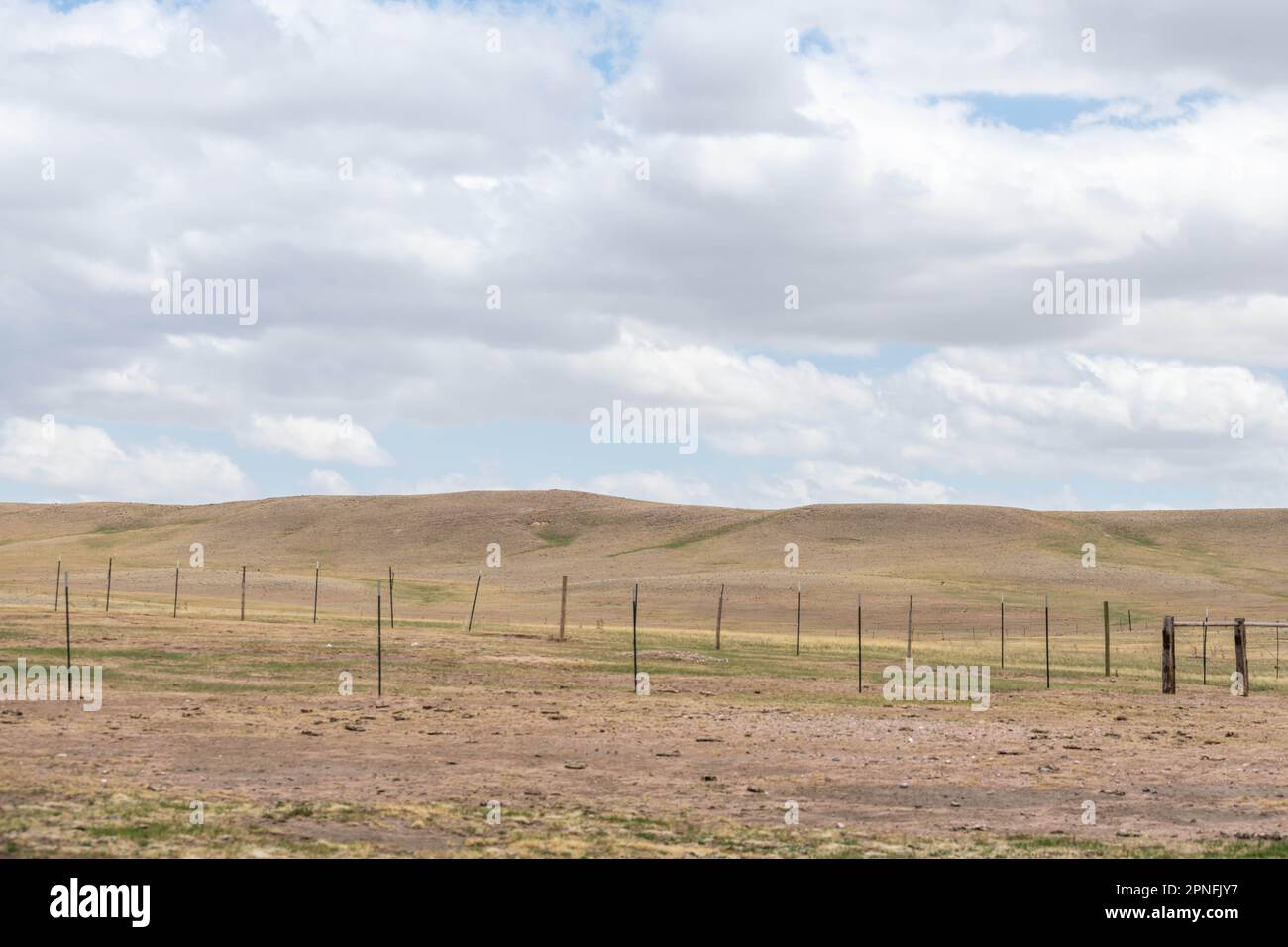 Blick auf Terry Bison Ranch, Wyoming Stockfoto