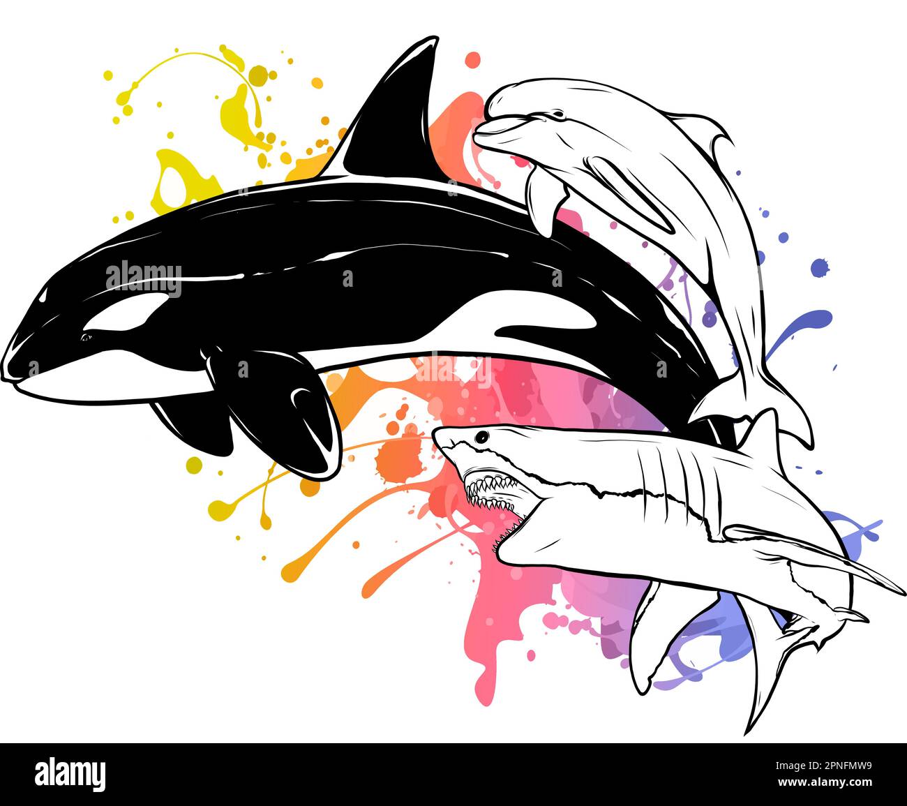 Schwarzweißzeichnung eines hüpfenden Orcawals in Schwarz-Weiß. Illustration. Stock Vektor