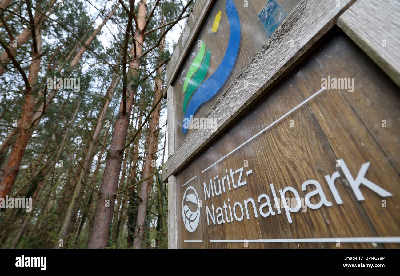 Boek, Deutschland. 18. April 2023. Am Eingang zum Müritz-Nationalpark steht ein Schild. Ziel ist es, den Naturtourismus im 320 Quadratkilometer großen Müritz-Nationalpark weiter zu fördern. Nach eigenen Angaben ist das Schutzgebiet der größte Waldnationalpark Deutschlands und etwa so groß wie die Münchner Region. Kredit: Bernd Wüstneck/dpa/Alamy Live News Stockfoto