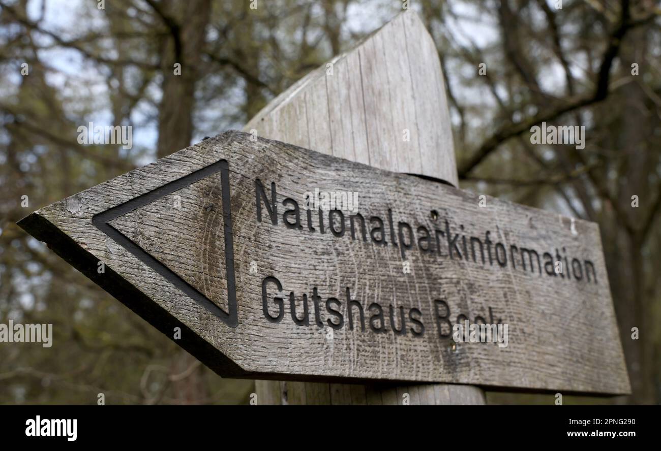 Boek, Deutschland. 18. April 2023. Ein Schild weist auf den Weg zum National Park Information Center. Der Naturtourismus soll im 320 km2 großen Müritz-Nationalpark weiter gefördert werden. Nach eigenen Angaben ist das Schutzgebiet der größte Waldnationalpark Deutschlands und etwa so groß wie die Münchner Region. Kredit: Bernd Wüstneck/dpa/Alamy Live News Stockfoto