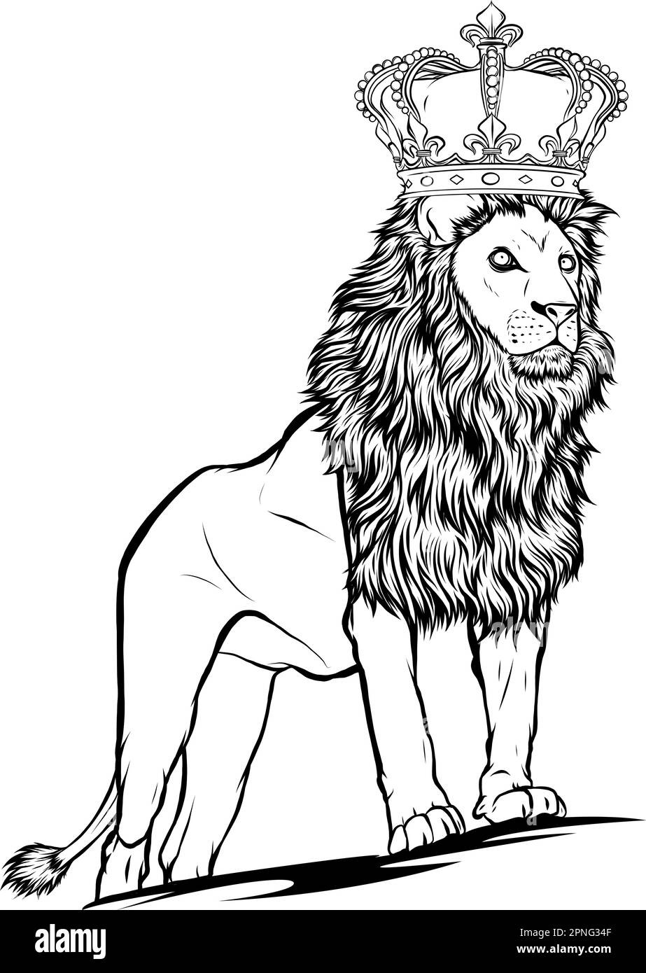 vektordarstellung der Silhouette des Löwen auf weißem Hintergrund Stock Vektor
