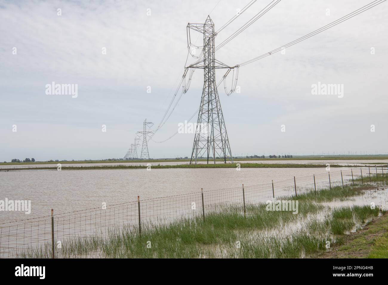 Elektrische Türme über überfluteten Feldern verwandelten sich in Vernallbecken im Central Valley von Kalifornien. Stockfoto