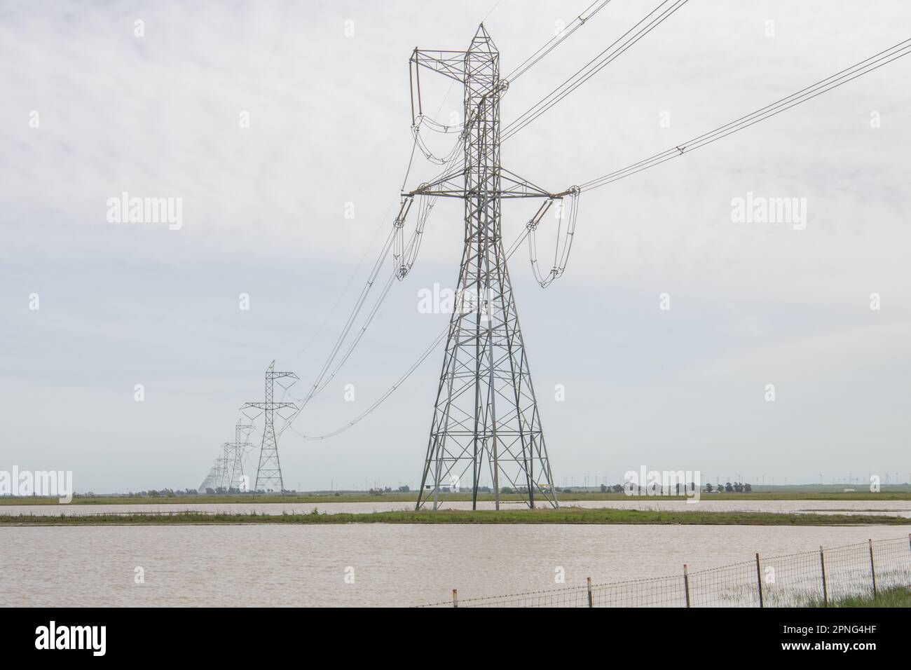 Elektrische Türme über überfluteten Feldern verwandelten sich in Vernallbecken im Central Valley von Kalifornien. Stockfoto